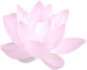 японский интернет-магазин кимоно и халатов кимоно, KIMONOYA